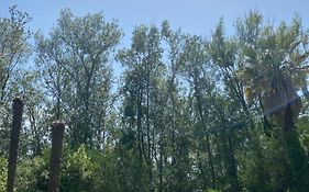 Chalet en pleine nature