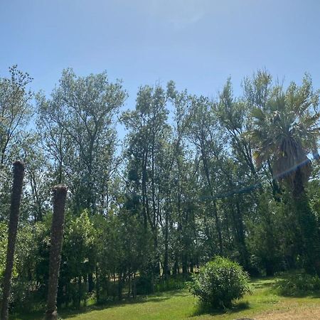 Chalet En Pleine Nature La Roquette-sur-Siagne Extérieur photo