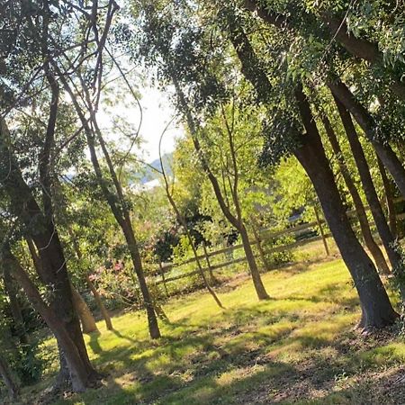 Chalet En Pleine Nature La Roquette-sur-Siagne Extérieur photo