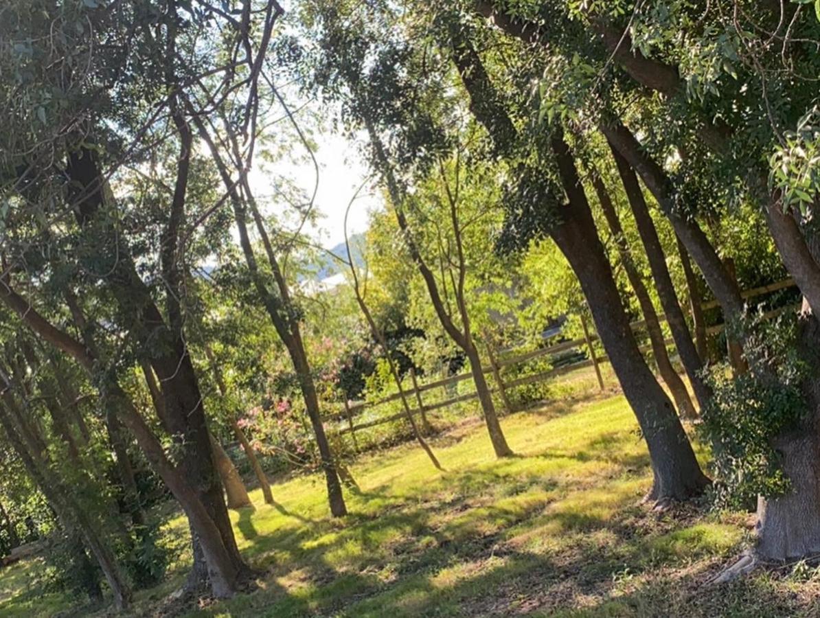 Chalet En Pleine Nature La Roquette-sur-Siagne Extérieur photo